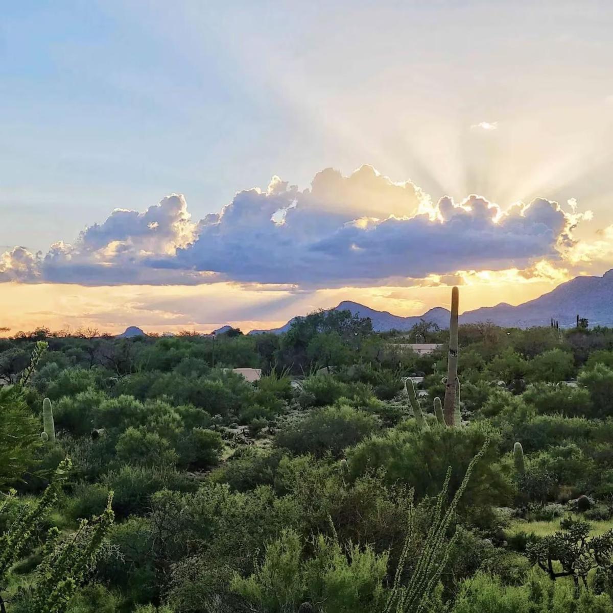 Luxury 3Bd 2Ba Home Near Tucson With Desert Views - Low Summer Rates! 奥罗谷 外观 照片